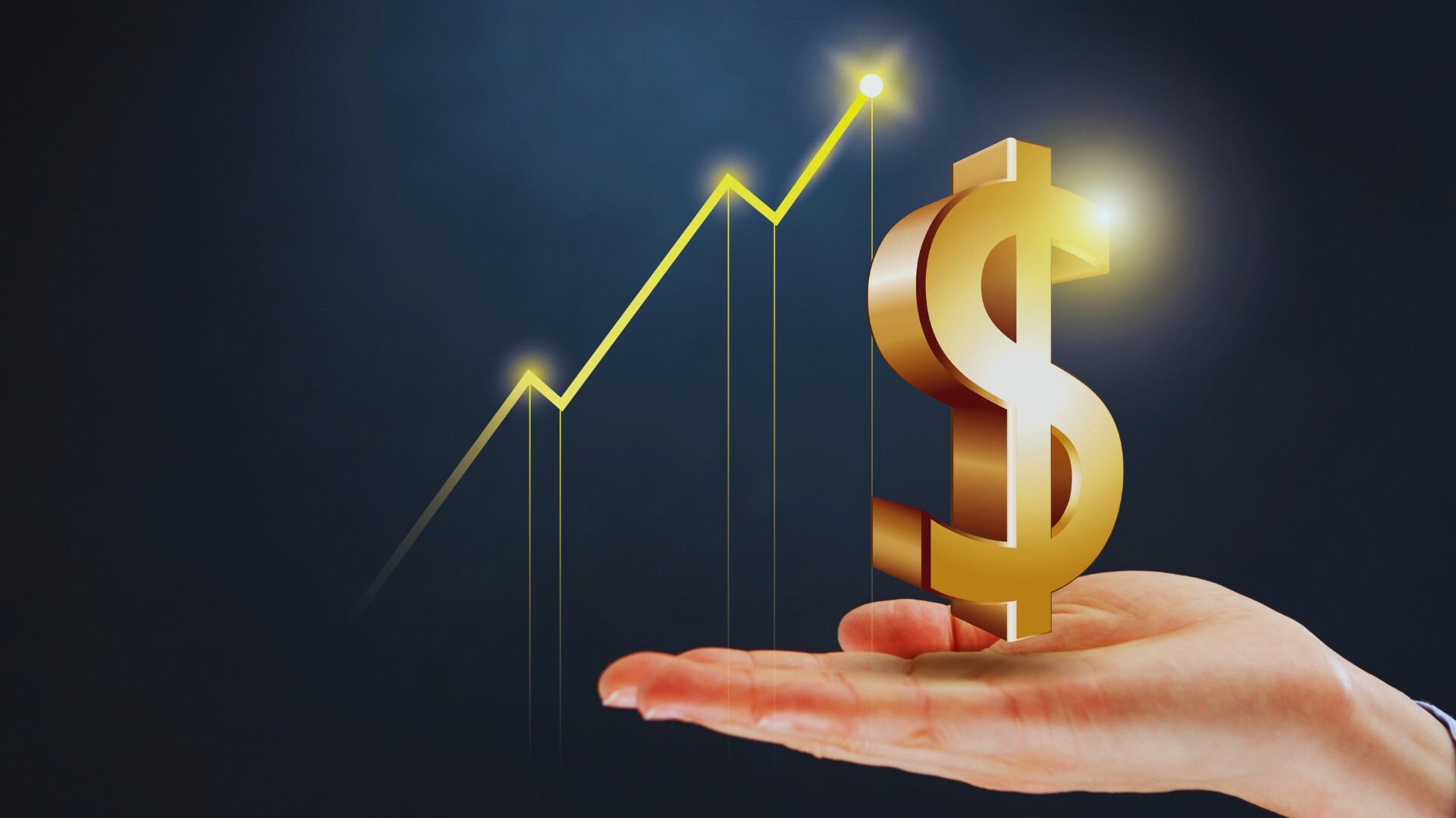 bugdeting  for profit bugdeting  for profit